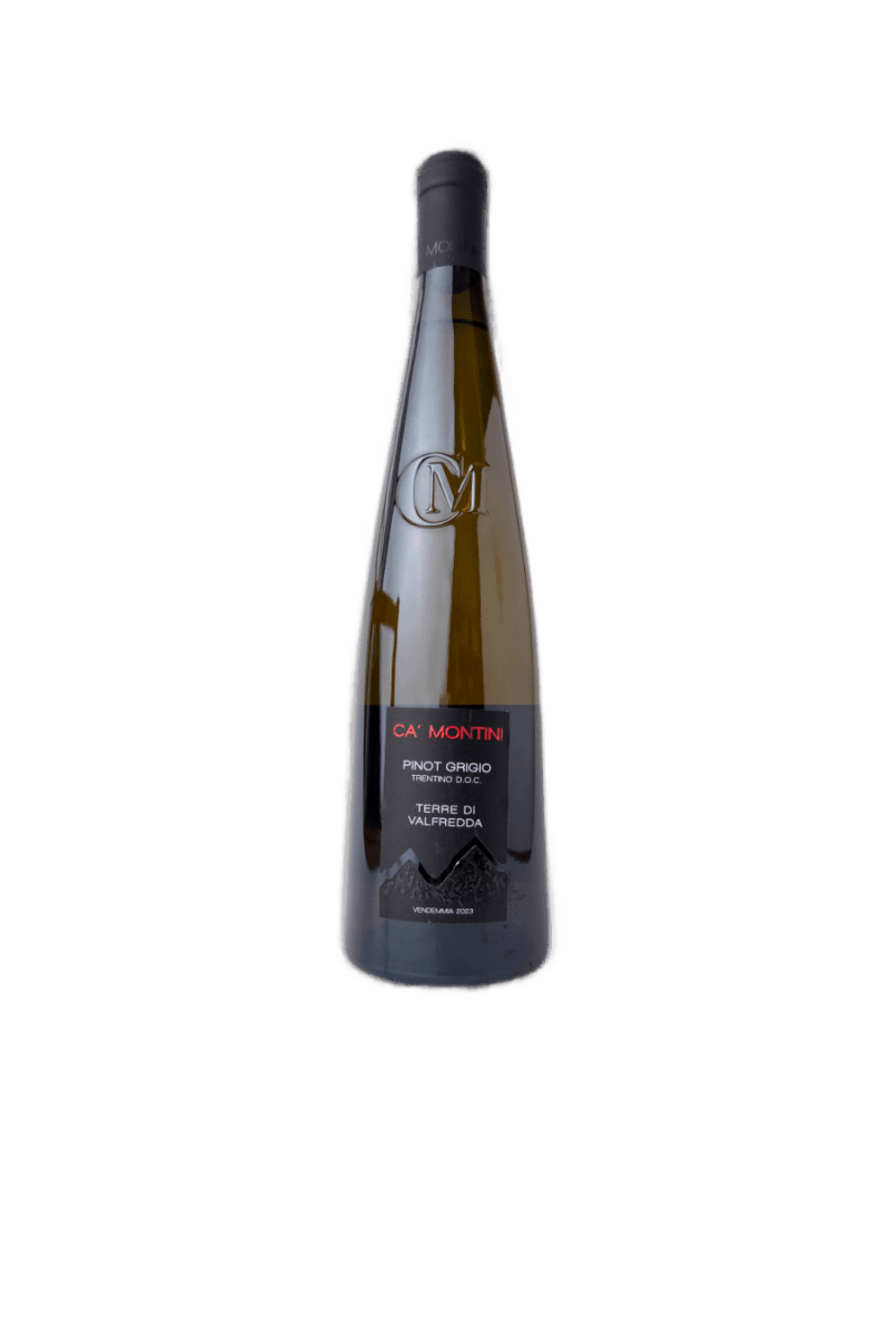Ca Montini Pinot Grigio 2023 - Hinemoa St Cellar