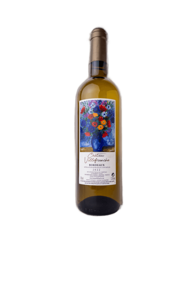 Chateaux Villefranche Bordeaux Blanc 2022 - Hinemoa St Cellar